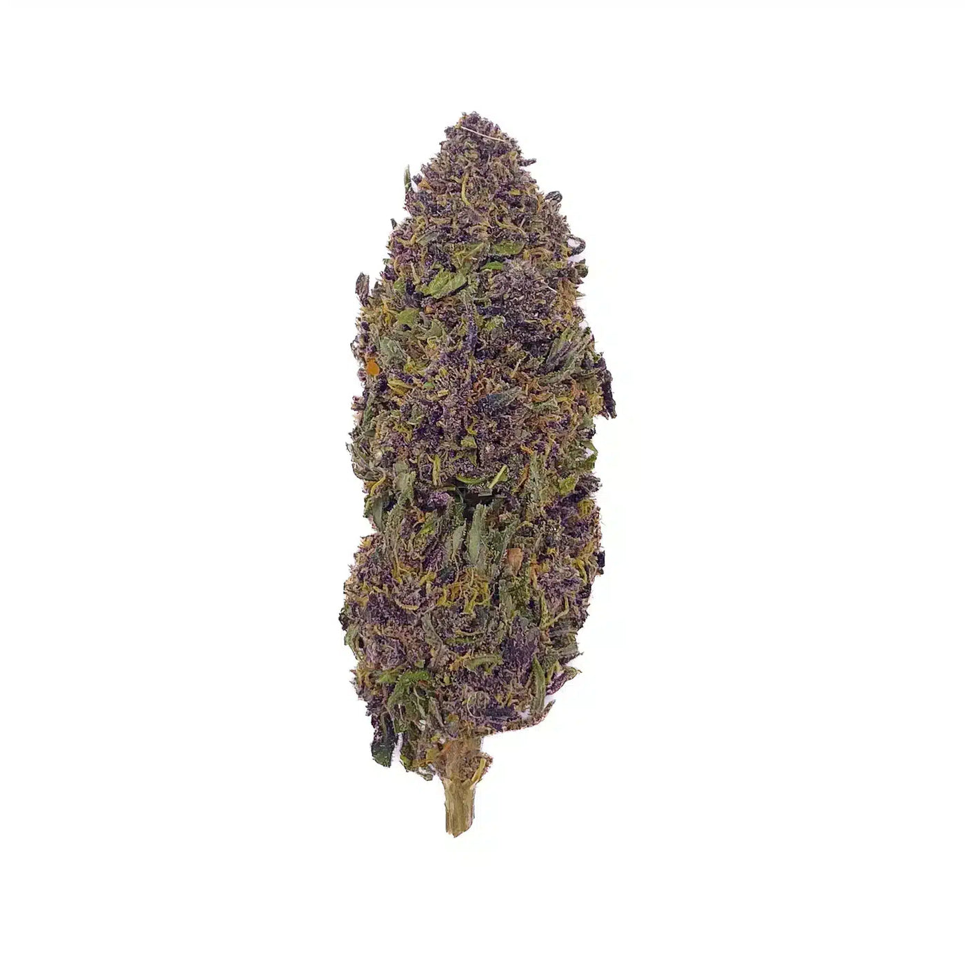 Purple Kush CBD  - indoor - 13%