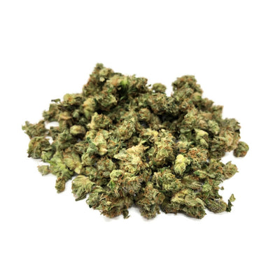 BB-GUM small buds - Indoor 10%